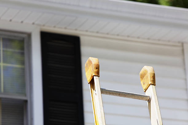 Best Custom Siding Design  in Newk, AR